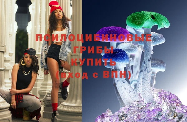 дмт Карпинск