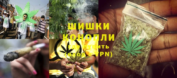 дмт Карпинск