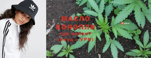 дмт Карпинск