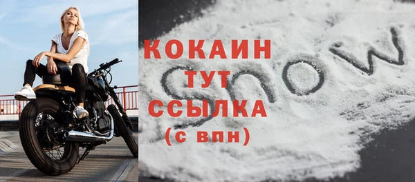 apvp Каменногорск