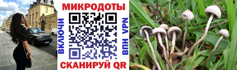 Купить где  Гатчина  Галлюциногенные грибы Magic Shrooms 